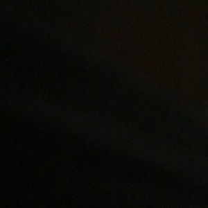 Meet your Posher, Nicholas